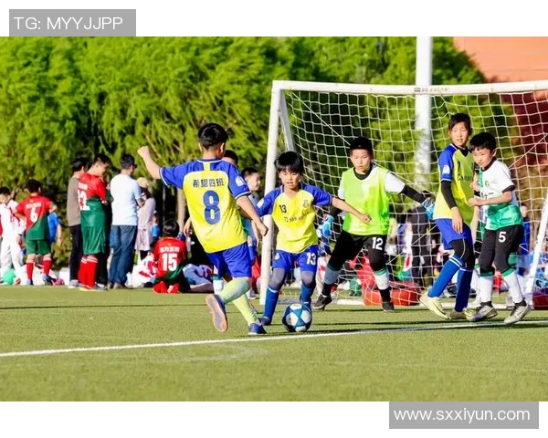 陆坤足球：探索中国足球新未来的激情与梦想之旅