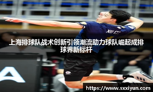 上海排球队战术创新引领潮流助力球队崛起成排球界新标杆